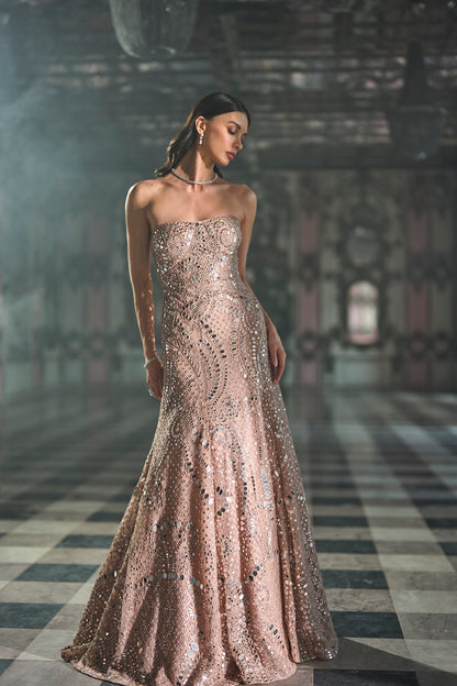 Rose Gold Mirror Work Gown