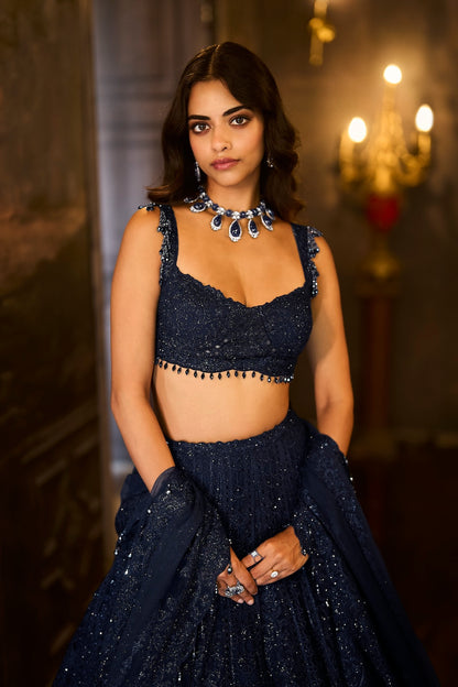Navy Crystal Lehenga Set
