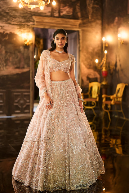 Mauve Sequin Lehenga Set