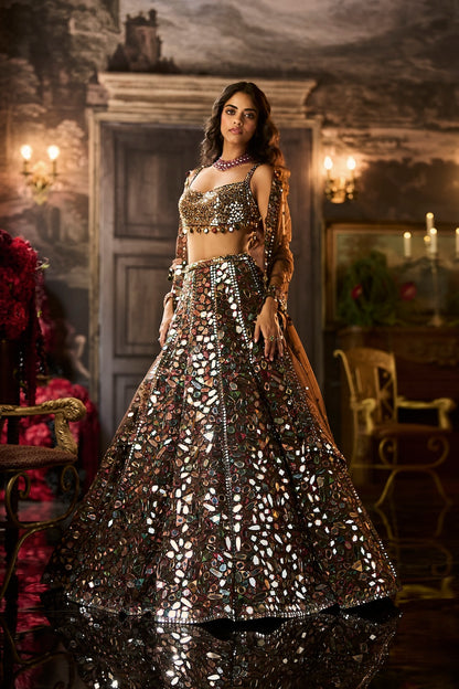 Multi-Coloured Mirror Work Lehenga Set