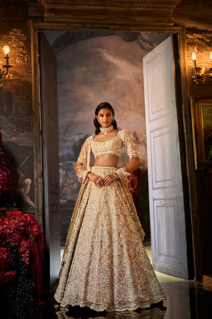 Nude Pearl Lehenga Set