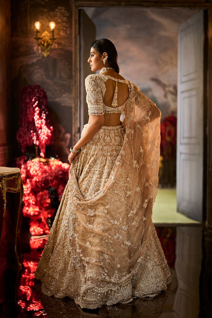Nude Pearl Lehenga Set