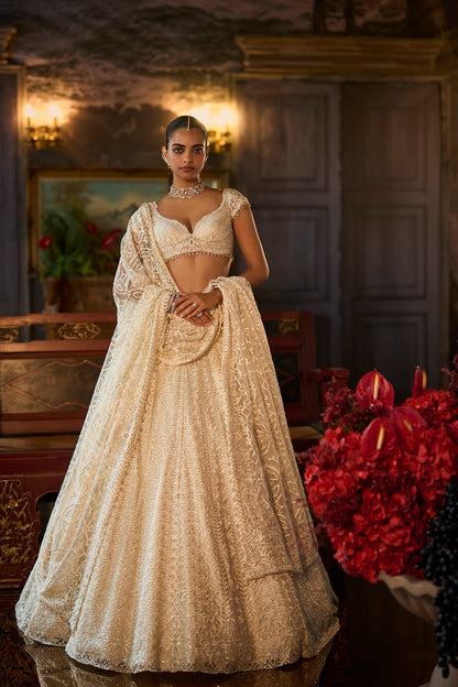 Ivory Crystal Lehenga Set