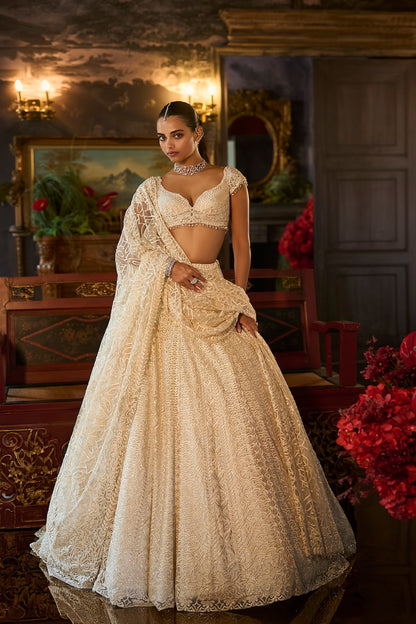 Ivory Crystal Lehenga Set