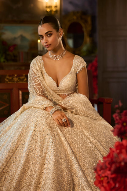 Ivory Crystal Lehenga Set