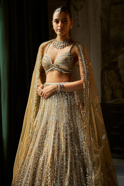 Gold Silver Lehenga Set