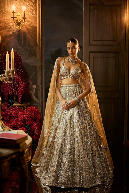 Gold Silver Lehenga Set