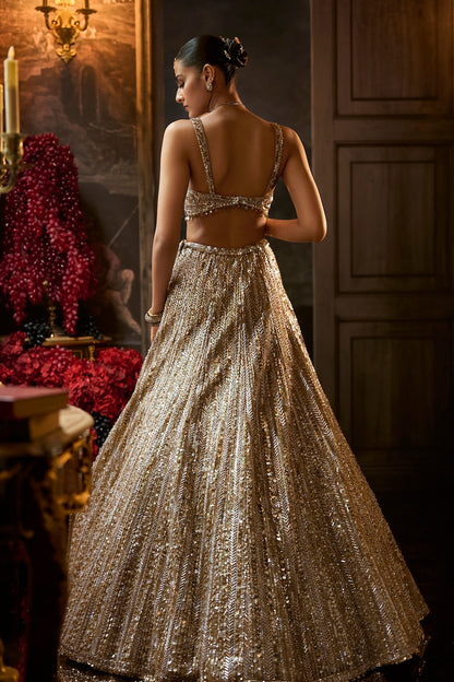 Gold Silver Lehenga Set