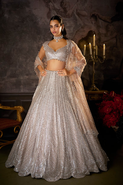 Dusty Mauve Lehenga Set