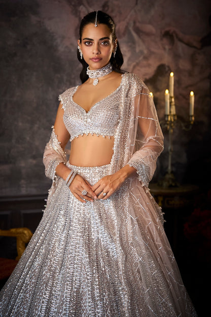 Dusty Mauve Lehenga Set