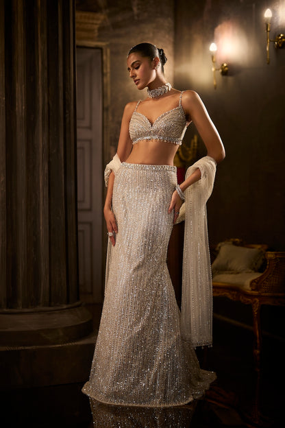 Silver Fit & Flare Trail Skirt Set