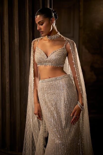 Silver Fit & Flare Trail Skirt Set