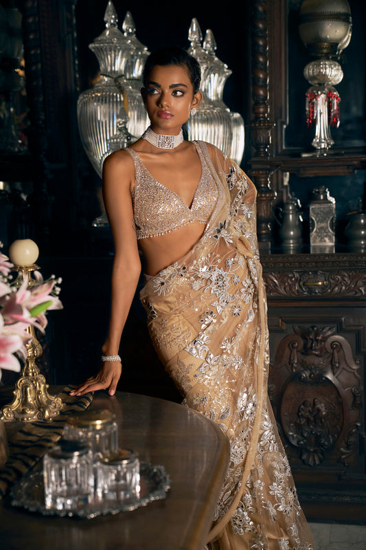 Manushi Chillar In Nude Silver Applique Saree