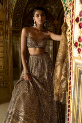 Antique Gold Sequin Lehenga Set