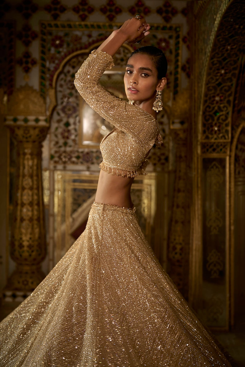 Gold Sequin Lehenga Set