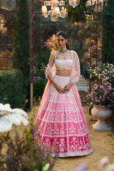 Ombre Pink Lehenga Set