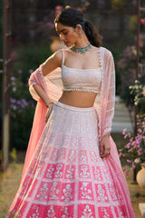 Ombre Pink Lehenga Set