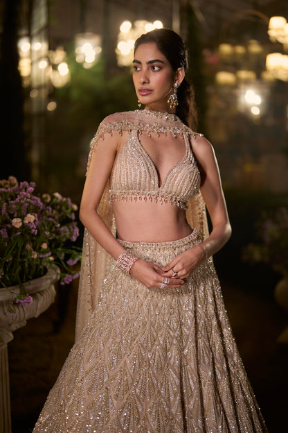 Coffee Sequin Lehenga Set