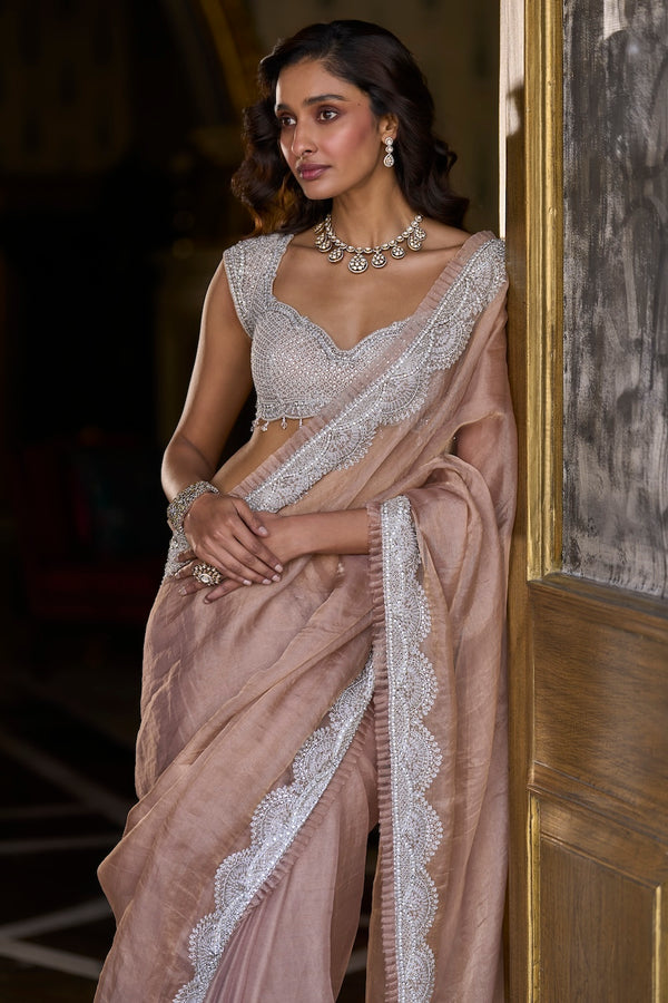 Copper Tissue Organza Saree