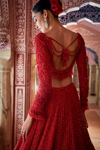 Red Cut Work Lehenga Set