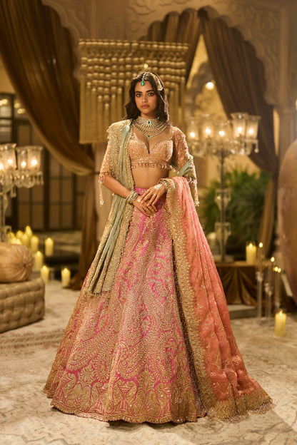 Pink Tissue Lehenga Set