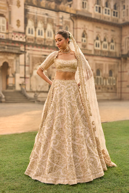 Powder Peach Lehenga Set