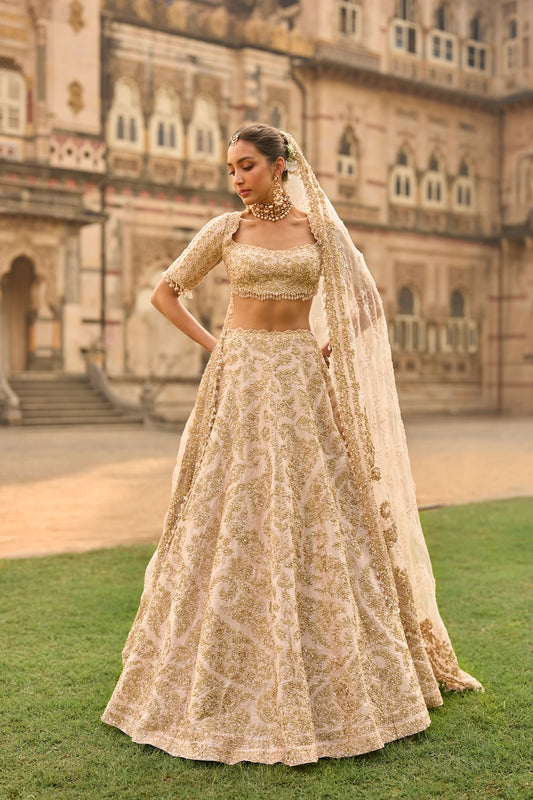 Powder Peach Lehenga Set