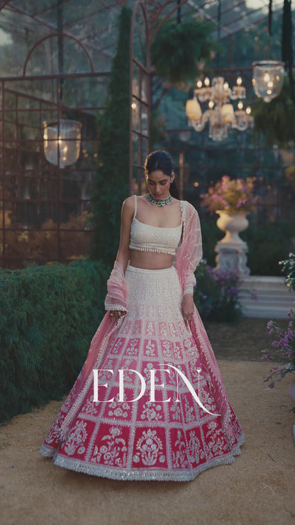 Ombre Pink Lehenga Set