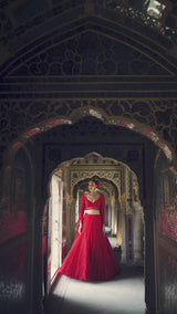 Red Cut Work Lehenga Set