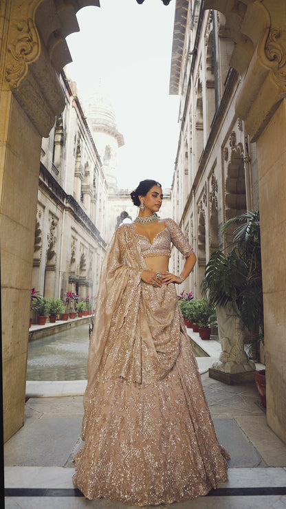 Rose Gold Tissue Lehenga Set