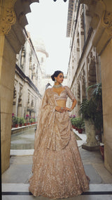Rose Gold Tissue Lehenga Set