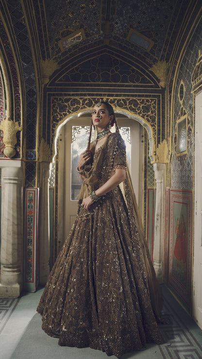 Bronze Tissue Lehenga Set