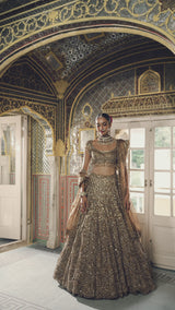 Bronze Sherwani Set