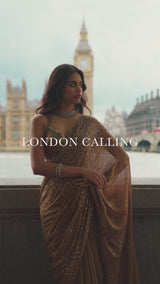 Antique Gold Crystal Saree