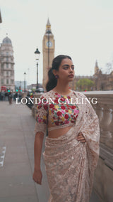 Beige Multi-Coloured Thread Work Saree